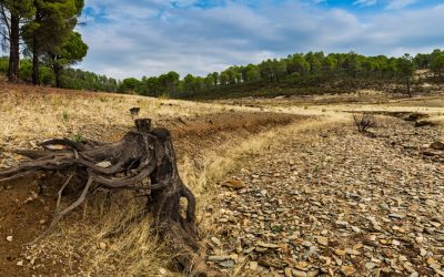 Expertos UdeC trabajarán en la mitigación de cambio climático en microcuencas del Bio Bío