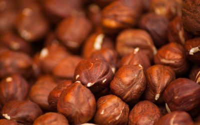 Agronomía UdeC firma segundo convenio de colaboración con Ferrero Hazelnut Company