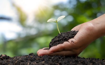 Académico de Agronomía destaca importancia de los suelos con la seguridad alimentaria
