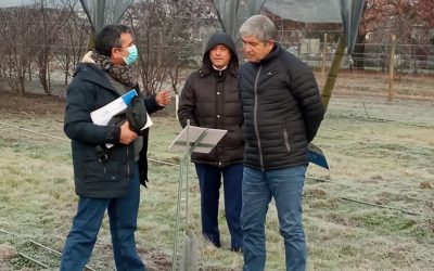 Rector Carlos Saavedra conoció quehacer de la Estación Experimental El Nogal del Campus Chillán