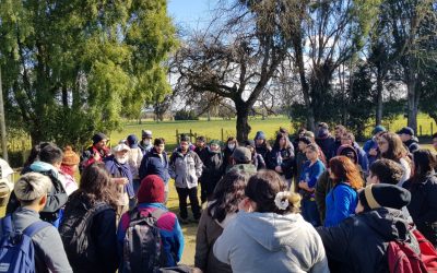 Estudiantes conocen actividades agropecuarias que se realizan en el sur del país