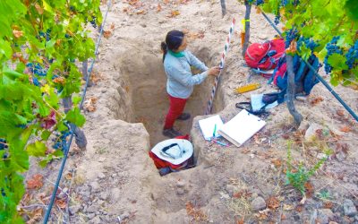Agronomía UdeC participará en Simposio Internacional de Geociencias, Viticultura y Vino – IGVWS2022