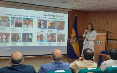 Sector público, privado y academia destacan al biocarbón como el diamante de Ñuble para la avicultura