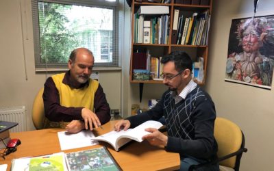 Expertos UdeC evalúan los beneficios económicos de reducir el metilmercurio en los alimentos