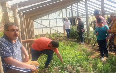 Académicos de Agronomía asesoran sobre mitigación de cambio climático en microcuencas
