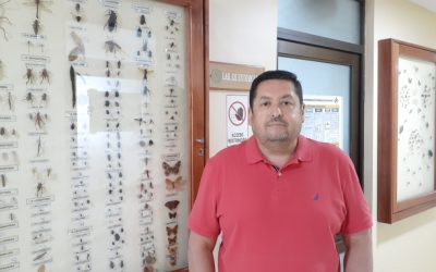 Cambio climático impactaría directamente sobre la incidencia de plagas y enfermedades de cultivos y frutales