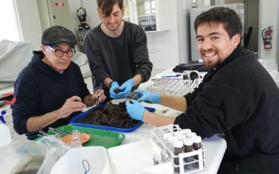Experto internacional colaboró en investigación sobre “Biofertilización Dinámica”