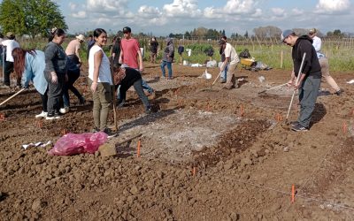 Estudiantes realizan trabajo en terreno para seguimiento de cultivos de temporada