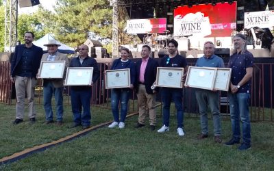 Enólogo de Agronomía UdeC destacó como jurado y presidente de mesa en Tercer Concurso del Vino en Quillón
