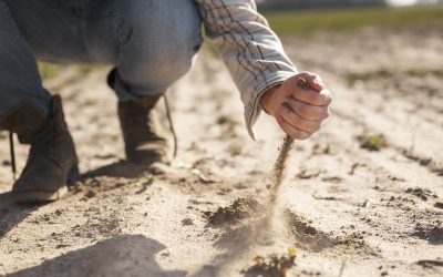 Agronomía UdeC releva proyectos emblemáticos para mitigar la Desertificación