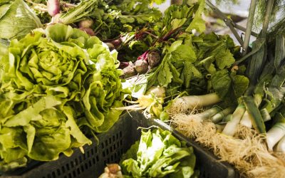 Alzas en verduras y hortalizas: expertos recomiendan consumir productos de temporada y diversificar las preparaciones