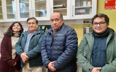 Ultrasonido: una tecnología estratégica para dar valor agregado a frutas y hortalizas