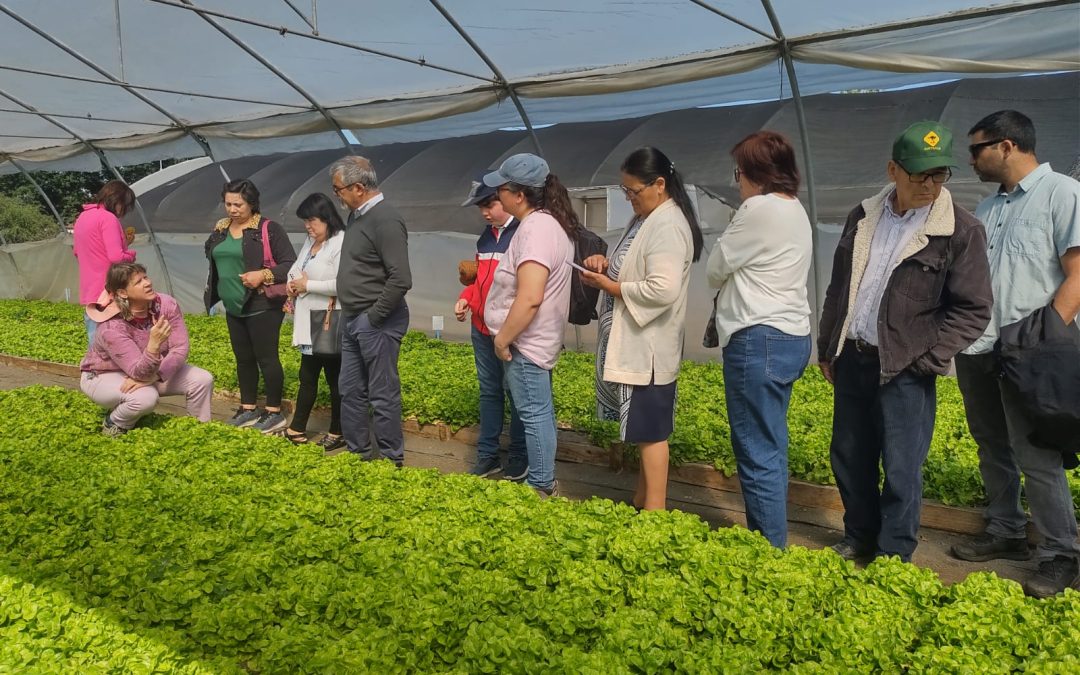 Unidad de Gestión Hortícola de Agronomía UdeC capacitó a agricultores de San Carlos