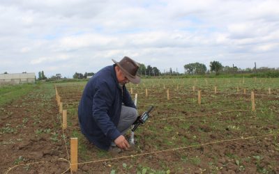 Especialista UdeC: “La degradación del suelo es unos de los daños ambientales más graves que enfrenta el país”