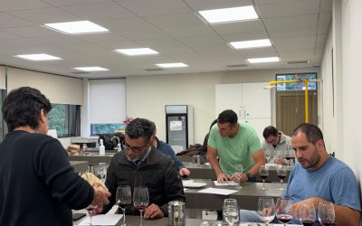 Panel de expertos evaluó estándar de exportación para proyectar vinos del Biobío al mercado global
